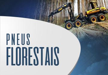 http://gaivotapneus.com.br/site/wp-content/uploads/2022/04/florestais.png